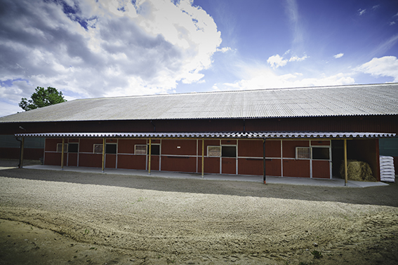 Cadiac-dressage-outdoor-stable2-100